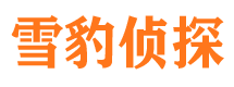 安仁寻人公司